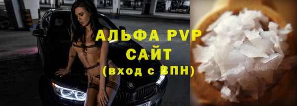 стаф Новодвинск