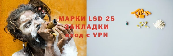ПСИЛОЦИБИНОВЫЕ ГРИБЫ Новозыбков