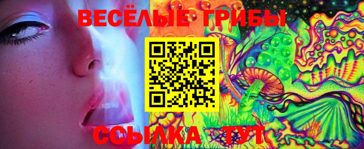 Грязи  Псилоцибиновые грибы мицелий  Вход с VPN 
