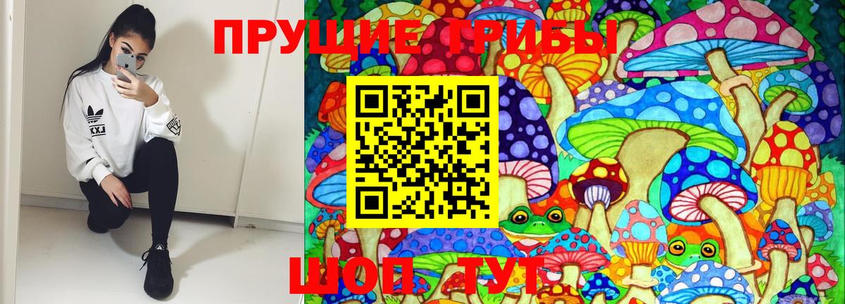 Галлюциногенные грибы мицелий Грязи