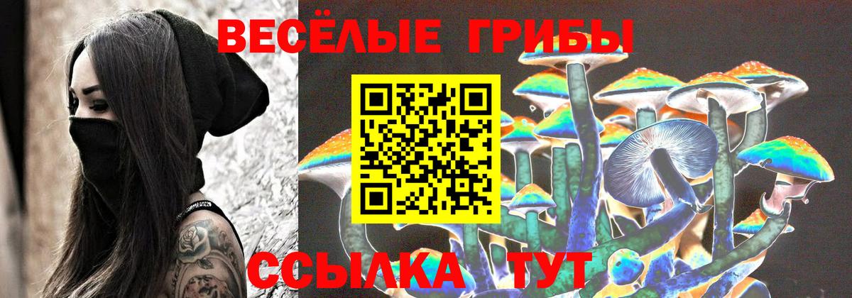 Псилоцибиновые грибы MAGIC MUSHROOMS  Галлюциногенные грибы мицелий  Грязи 