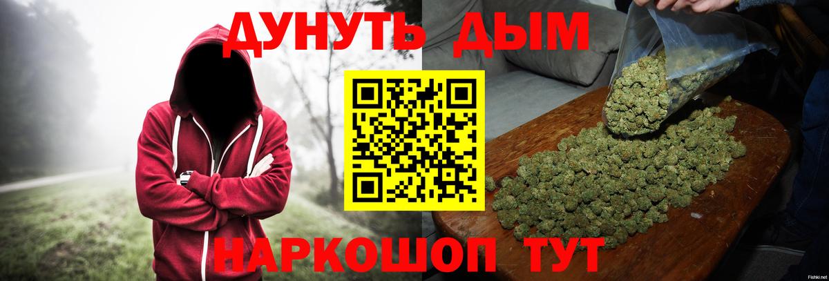 Конопля сатива  Вход с VPN  Канабис сатива  Грязи  Канабис OG Kush 